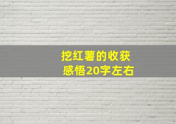 挖红薯的收获感悟20字左右