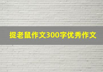 捉老鼠作文300字优秀作文