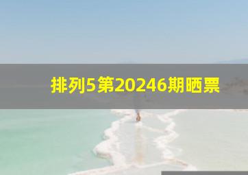 排列5第20246期晒票