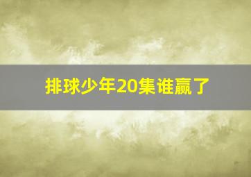 排球少年20集谁赢了