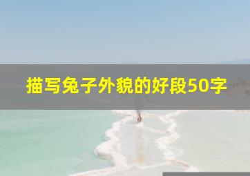 描写兔子外貌的好段50字