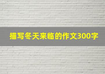 描写冬天来临的作文300字