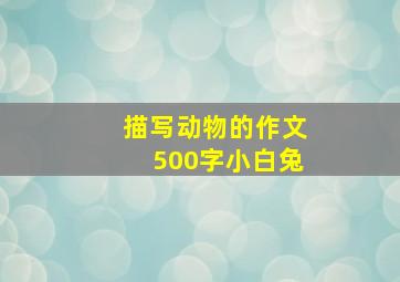 描写动物的作文500字小白兔