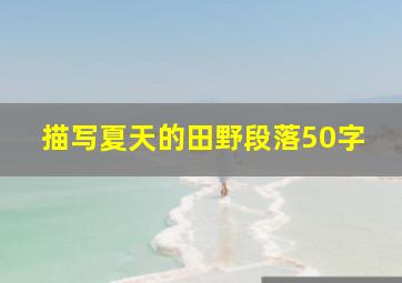 描写夏天的田野段落50字