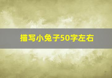 描写小兔子50字左右