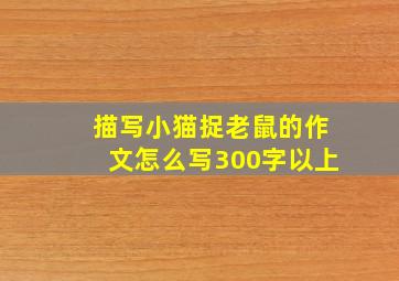 描写小猫捉老鼠的作文怎么写300字以上