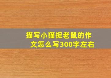 描写小猫捉老鼠的作文怎么写300字左右