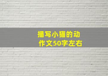 描写小猫的动作文50字左右