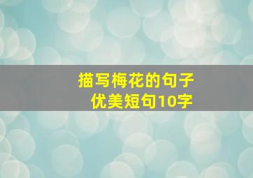 描写梅花的句子优美短句10字