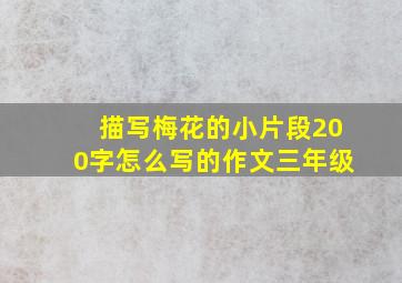 描写梅花的小片段200字怎么写的作文三年级