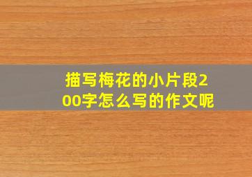 描写梅花的小片段200字怎么写的作文呢