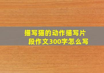 描写猫的动作描写片段作文300字怎么写