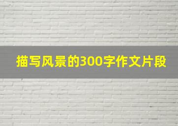 描写风景的300字作文片段