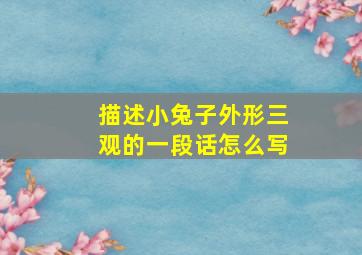 描述小兔子外形三观的一段话怎么写