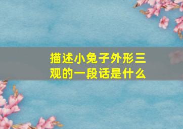 描述小兔子外形三观的一段话是什么