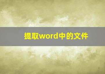 提取word中的文件