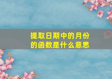 提取日期中的月份的函数是什么意思