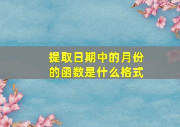 提取日期中的月份的函数是什么格式