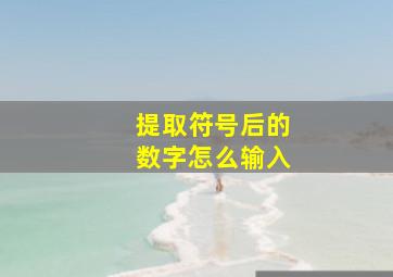 提取符号后的数字怎么输入