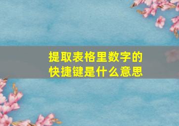 提取表格里数字的快捷键是什么意思