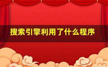 搜索引擎利用了什么程序