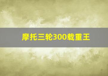 摩托三轮300载重王