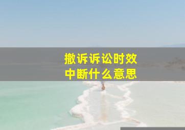 撤诉诉讼时效中断什么意思