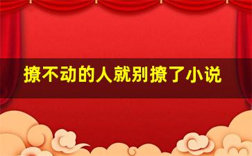 撩不动的人就别撩了小说