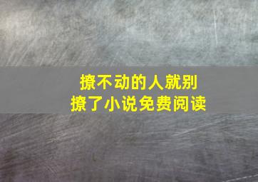 撩不动的人就别撩了小说免费阅读