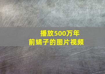 播放500万年前蝎子的图片视频