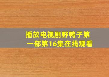 播放电视剧野鸭子第一部第16集在线观看