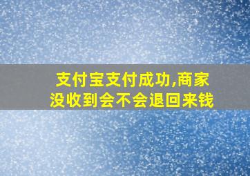 支付宝支付成功,商家没收到会不会退回来钱