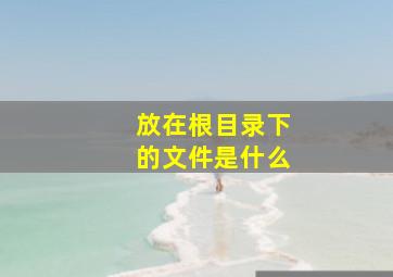 放在根目录下的文件是什么