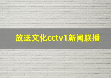 放送文化cctv1新闻联播