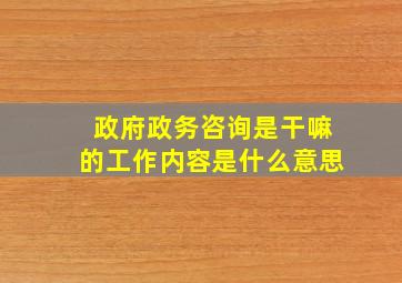 政府政务咨询是干嘛的工作内容是什么意思