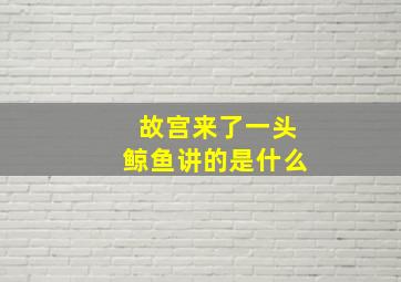 故宫来了一头鲸鱼讲的是什么