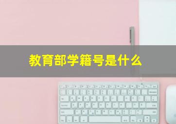 教育部学籍号是什么