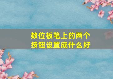 数位板笔上的两个按钮设置成什么好