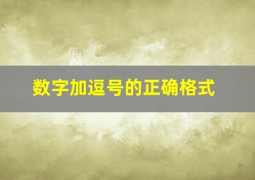 数字加逗号的正确格式