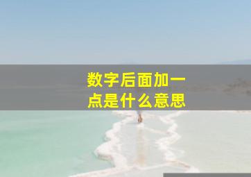 数字后面加一点是什么意思