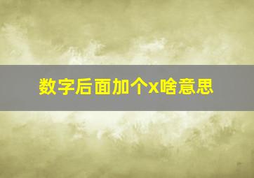 数字后面加个x啥意思