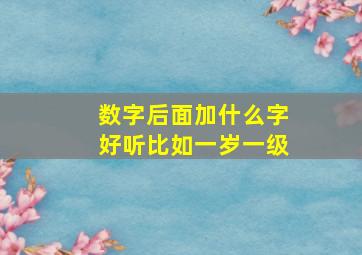 数字后面加什么字好听比如一岁一级