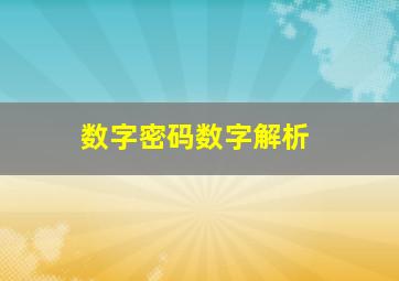 数字密码数字解析