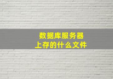 数据库服务器上存的什么文件