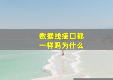 数据线接口都一样吗为什么