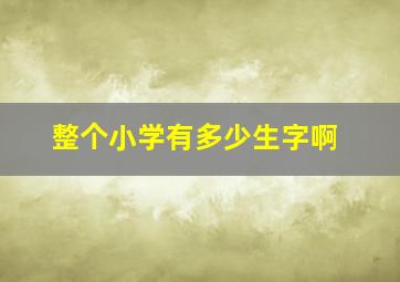 整个小学有多少生字啊