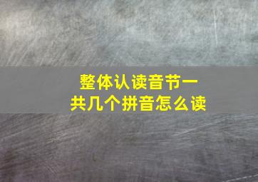 整体认读音节一共几个拼音怎么读