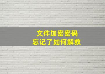 文件加密密码忘记了如何解救