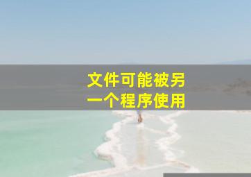 文件可能被另一个程序使用