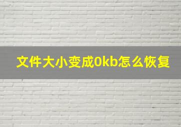 文件大小变成0kb怎么恢复